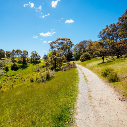 <strong>Pound Bend Reserve</strong>