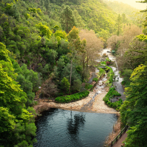 <strong>Waterfall Gully to Mount Lofty Summit Trail</strong>