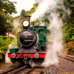 West Coast Wilderness Railway. Photographed by Rob Burnett. Image via Tourism Tasmania.