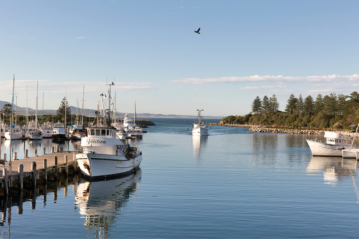 Bermagui Fisherman's Wharf Co-op. Image via Destination NSW