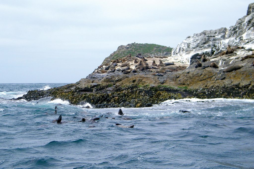 Bruny Island. Supplied by Tourism Tasmania. Photographed by Kathryn Leahy.
