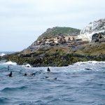 Bruny Island. Supplied by Tourism Tasmania. Photographed by Kathryn Leahy.