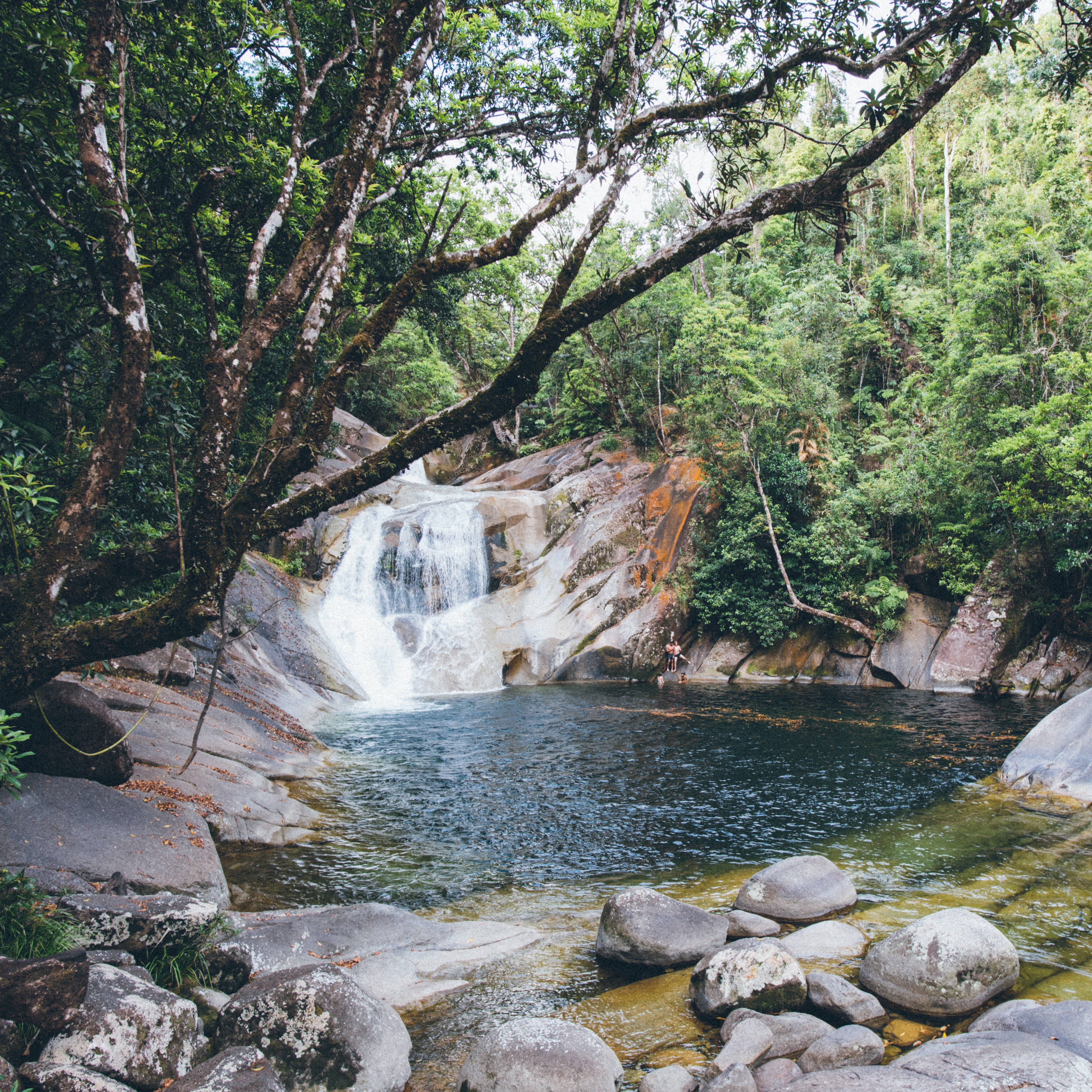 <strong>Josephine Falls</strong>