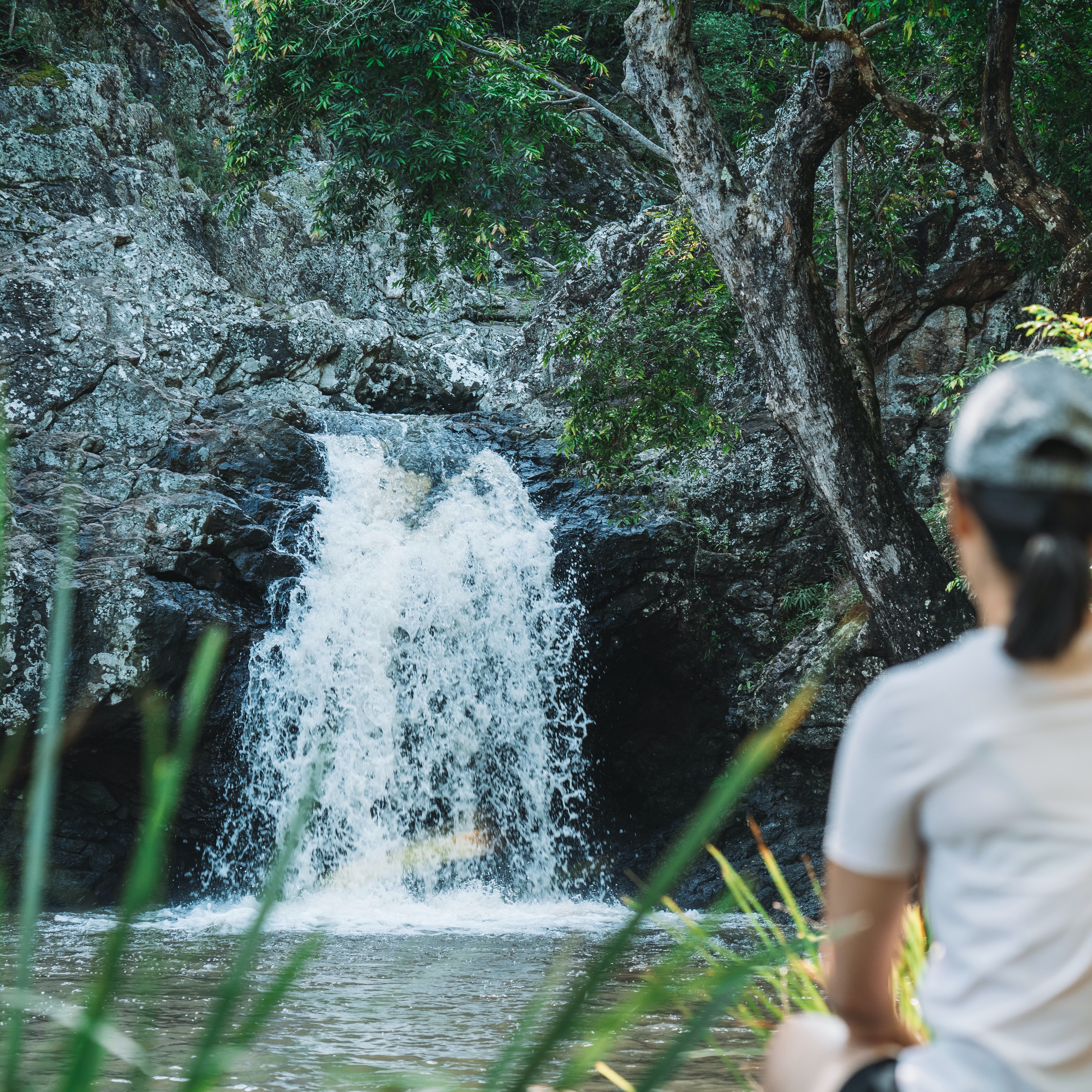 <strong>Kondalilla Falls</strong>