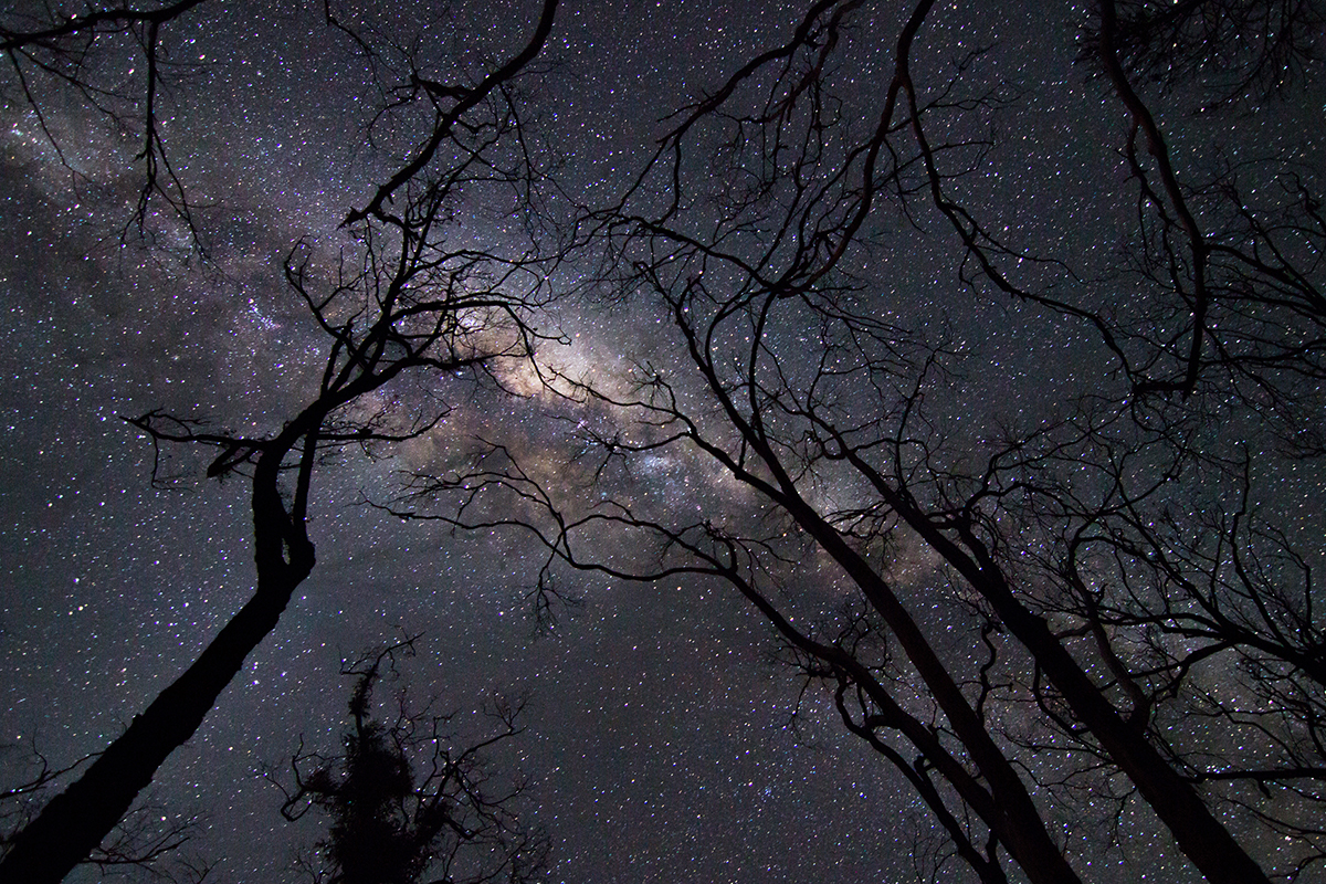 Milky Way from Mudgee. Photographed by Ahmad Khal. Image via Shutterstock