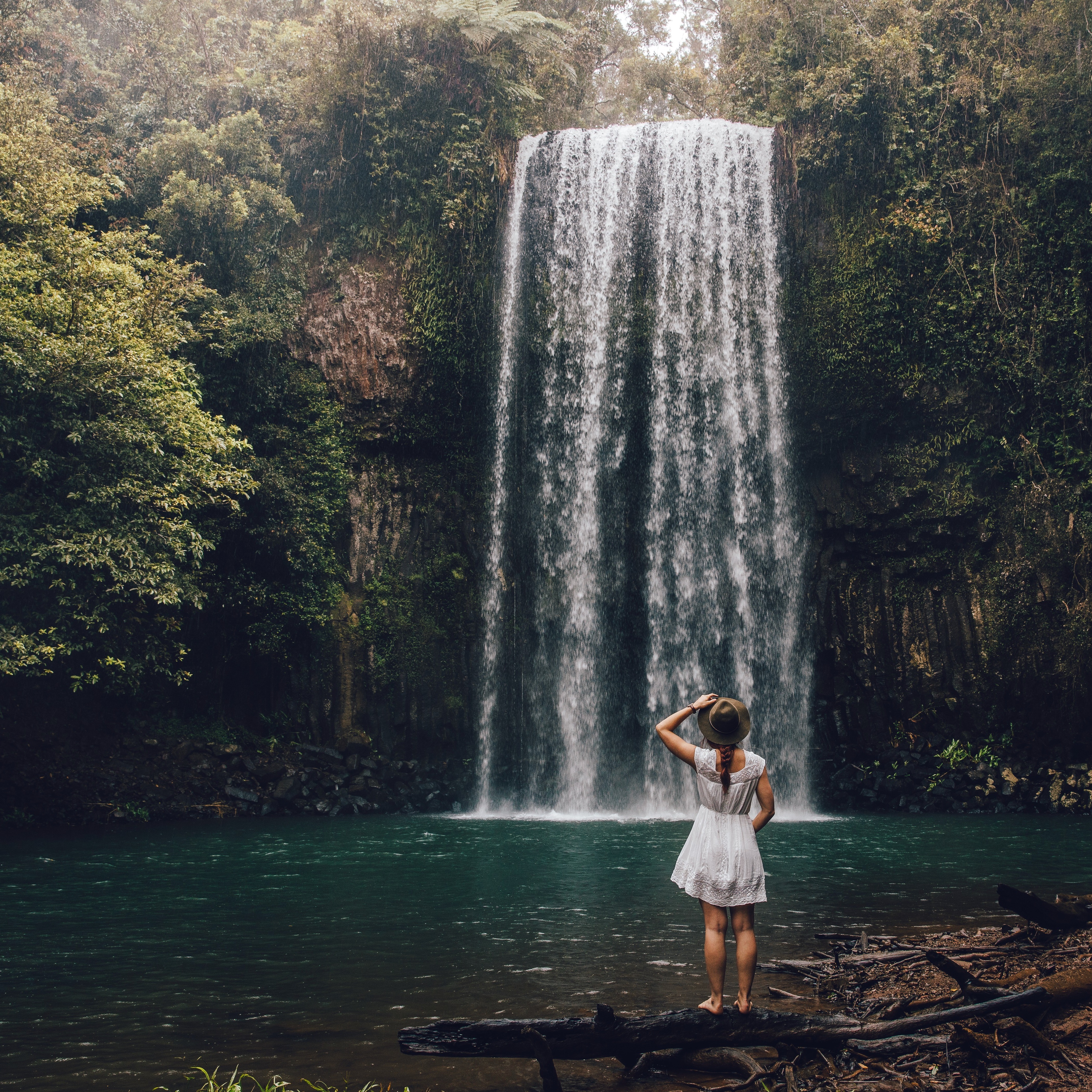 <strong>Millaa Millaa Falls</strong>