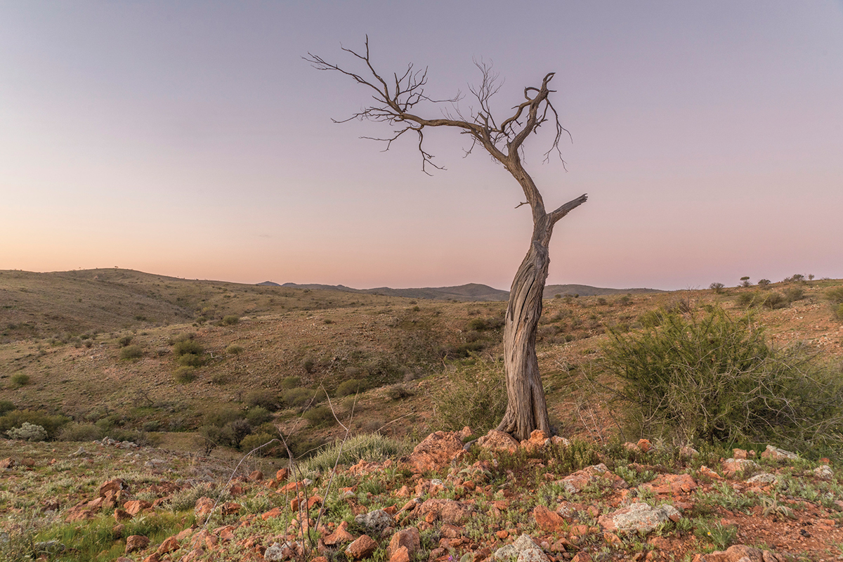 Mundi Mundi Plains Lookout, Silverton. Image via Destination NSW