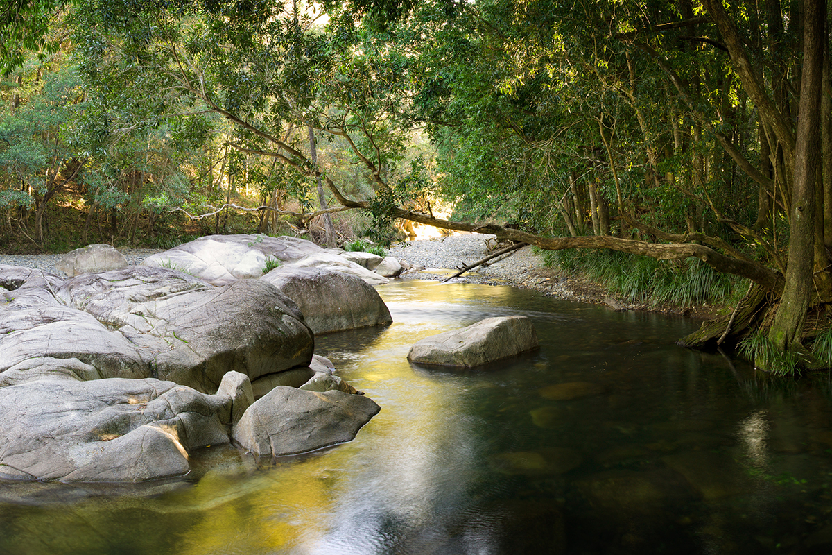 Never Never Creek, Bellingen. Photographed by Janelle Lugge. Image via Shutterstock