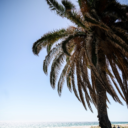 <strong>Seacliff Beach Hotel</strong>