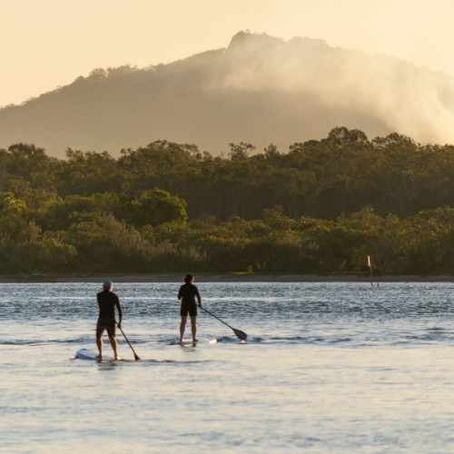Stand-up paddle boarders enjoying the Noosa River with the Sunshine Coast Hinterland behind them in Noosa, Queensland.