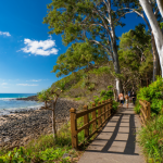 Tea Tree Bay at Noosa National Park.