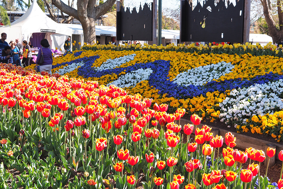 Tulip Time Festival in Corbett Gardens,Bowral. Photographed by ms.nen. Image via Shutterstock