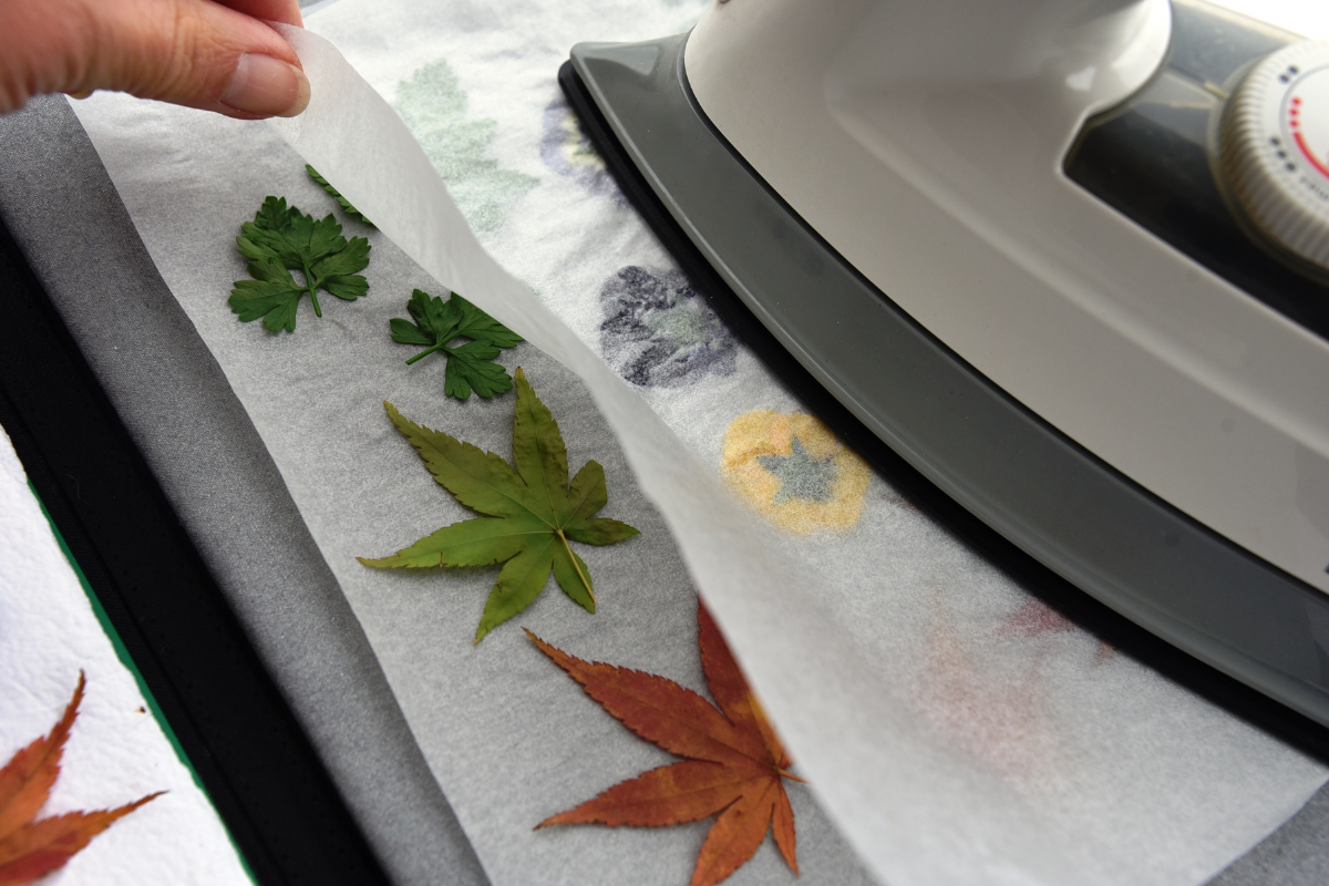 Craft 365. Ironing. How to press flowers and leaves. Image supplied.