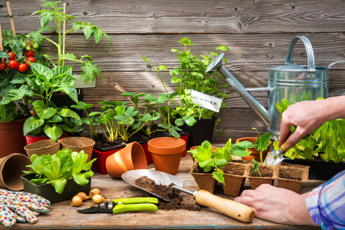 Farmer planting seeds. Photographed by Alexander Raths. Image via Shutterstock