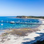 Flinders Pier snorkel site. Photographed by FiledIMAGE. Image via Shutterstock