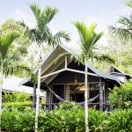 Palm Bungalows. Photographed by Kara Rosenlund. Image from Hamilton Media Gallery.