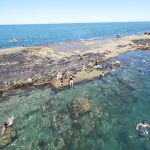 Port Noarlunga Reef snorkelling spot. Photographed by JM Smith. Image via Shutterstock