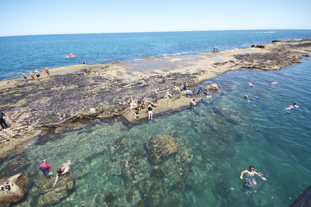 Port Noarlunga Reef snorkelling spot. Photographed by JM Smith. Image via Shutterstock