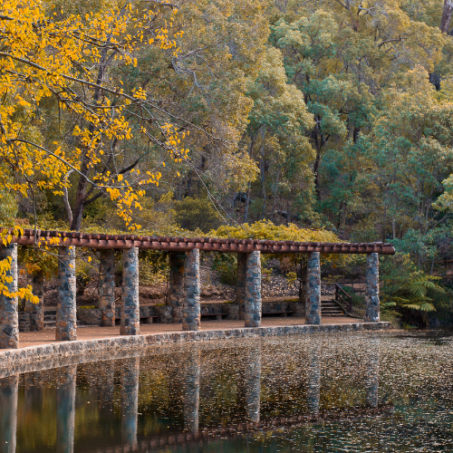 <strong>Araluen Botanic Park</strong>