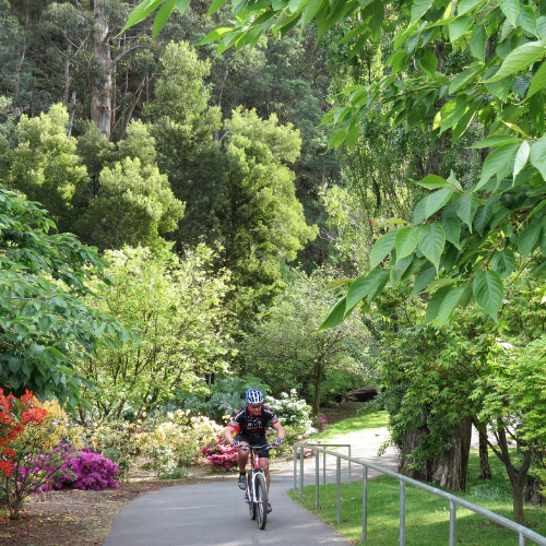 <strong>Cascade Gardens</strong>