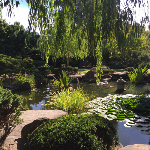 <strong>Himeji Garden</strong>