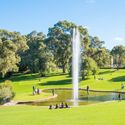 <strong>Kings Park and Botanic Garden</strong>