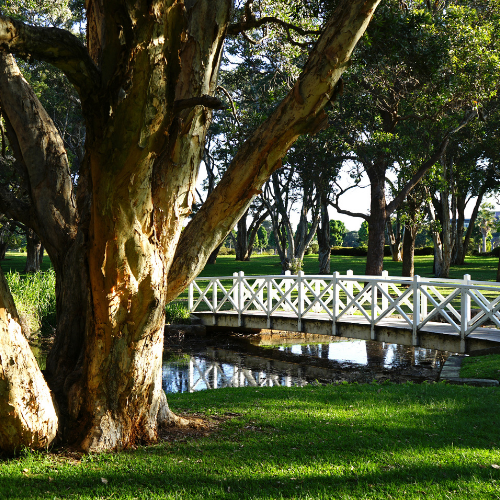 <strong>Centennial Park</strong>