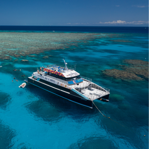 Dreamtime Dive and Snorkel session at the Great Barrier Reef in Far North Queensland.