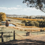 Courabyra Winery at Tumbarumba wine region. Photographed by Nick Clark Creative. Image via Shutterstock