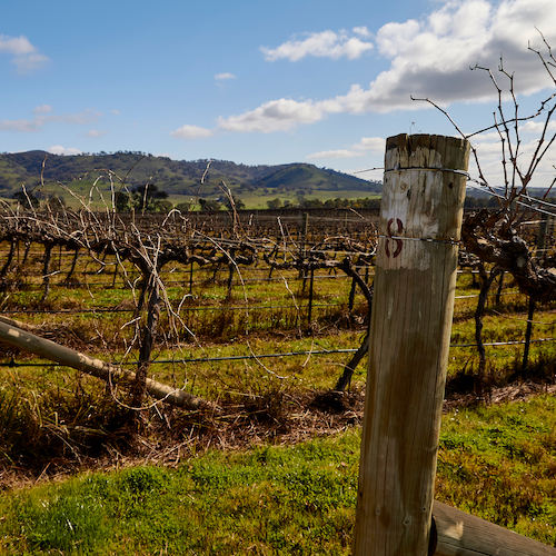 <strong>4. Mudgee, NSW</strong>