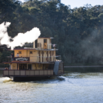 Paddle Steamer on Murray River, Echuca. Photographed by Robert Blackburn. Image via Visit Victoria.