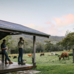 Verandah and Paddock at Tommerup's Dairy Farm, Queensland. Photographed by Jack Harlem. Image supplied.