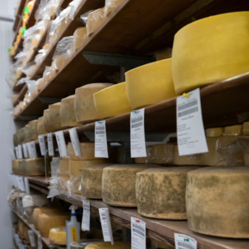 <strong>Ashgrove Cheese</strong>