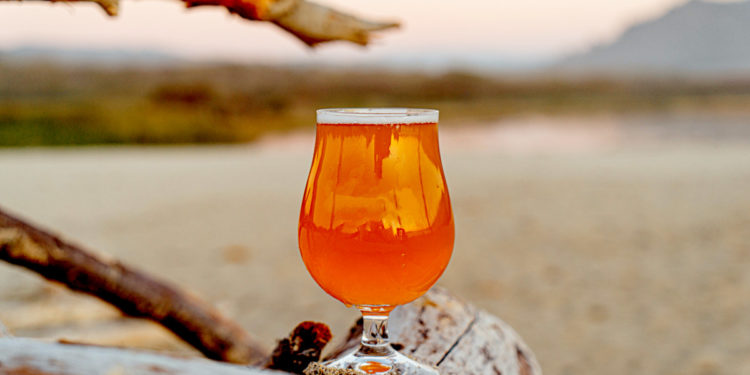 Australian-made craft beers. Photographed by George Cox. Image via Unsplash