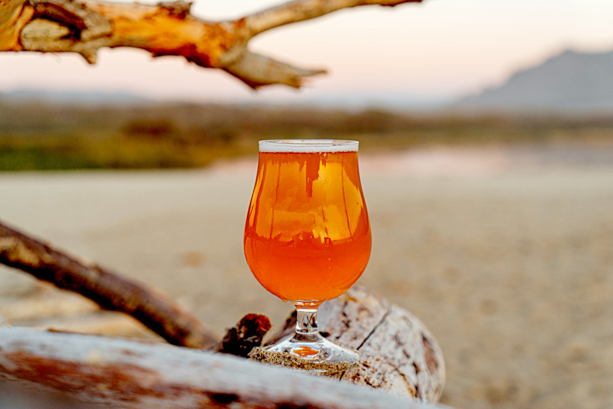 Australian-made craft beers. Photographed by George Cox. Image via Unsplash