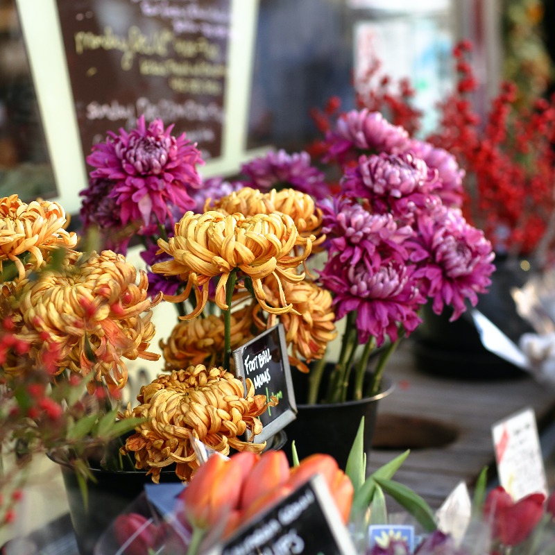 <strong>Elwood Farmers Market</strong>