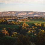 McLaren Vale, South Australia. Image Supplied by Never Never Distilling Co.
