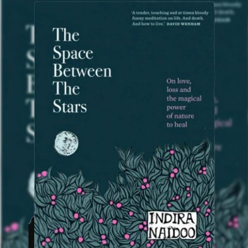 <strong>Indira Naidoo</strong>, The Space Between the Stars