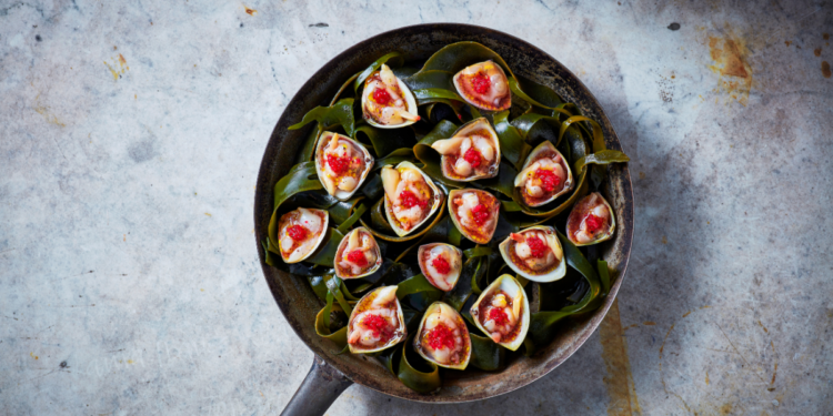 Taste Buds. Australia and New Zealand Unite with Downloadable Recipe Book, Taste Buds. Cloudy Bay Diamond Shell Clams. Image supplied.