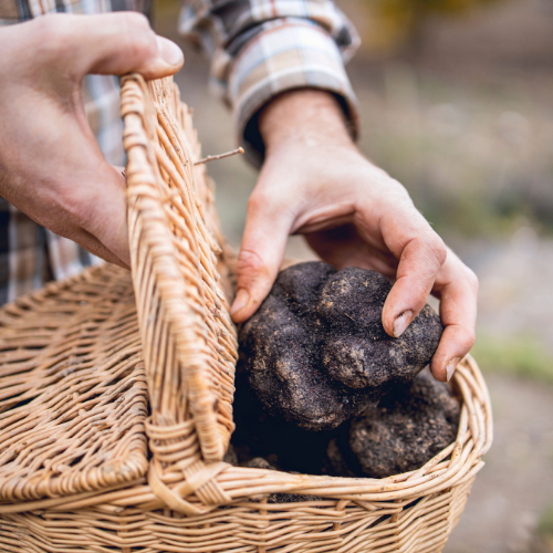 <strong>Turalla Truffles</strong>