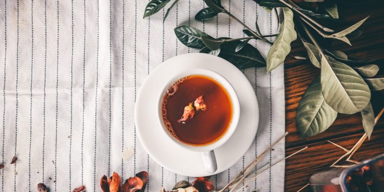 10 Best Sweet T2 Teas To Warm You Up This Winter. Photographed by miti. Image via Unsplash.