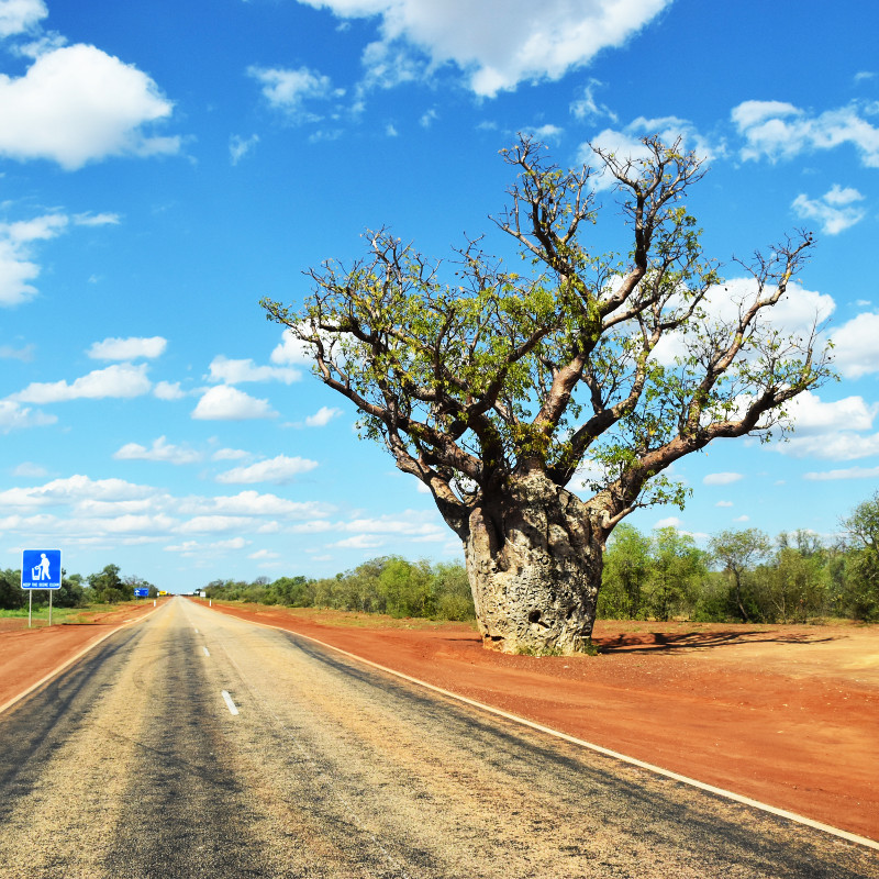 Fervor, Western Australia