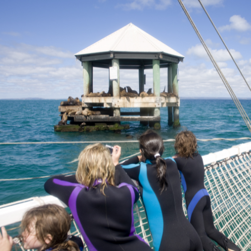 <strong>Port Phillip Bay</strong>