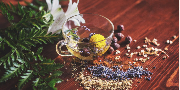 Tea brewing. Photographed by Lisa Hobbs. Image via Unsplash
