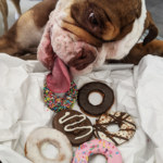 Krispy Kreme New Dog Doughnuts. Image supplied.