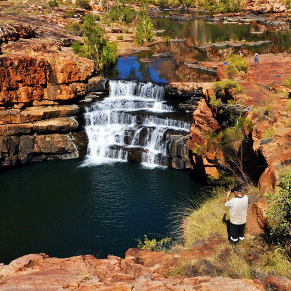 Dalmanyi (Bell Gorge)