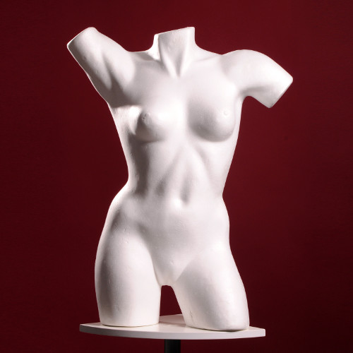 Sculpt a Human Torso