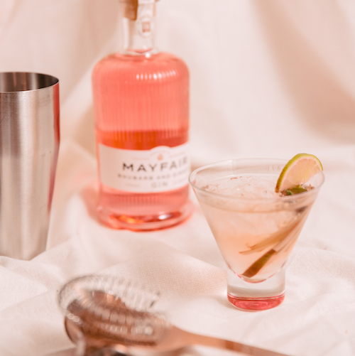 Rhubarb and Ginger G&T