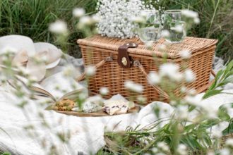 The 10 Best Picnic Essentials for Spring 2021. Photographed by Evangelina Silina. Image via Unsplash