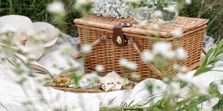 The 10 Best Picnic Essentials for Spring 2021. Photographed by Evangelina Silina. Image via Unsplash